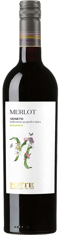 Merlot IGT – Veneto BIOLOGICO