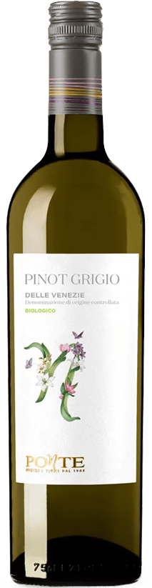 Pinot Grigio – Delle Venezie BIOLOGICO